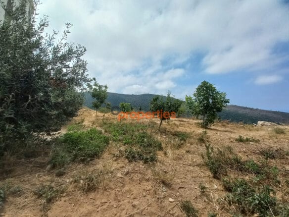 Land For Sale in Braij Jbeil CPJRK215