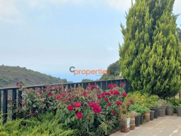 Land for sale in hboub _ jbeil CPJRK202