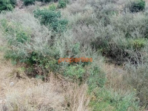 Amazing land for sale in hboub-Jbeil CPJRK208