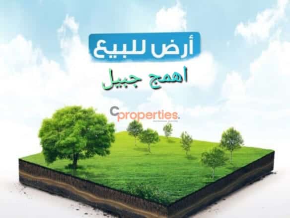 Land for sale in ehmej jbeil CPJRK206