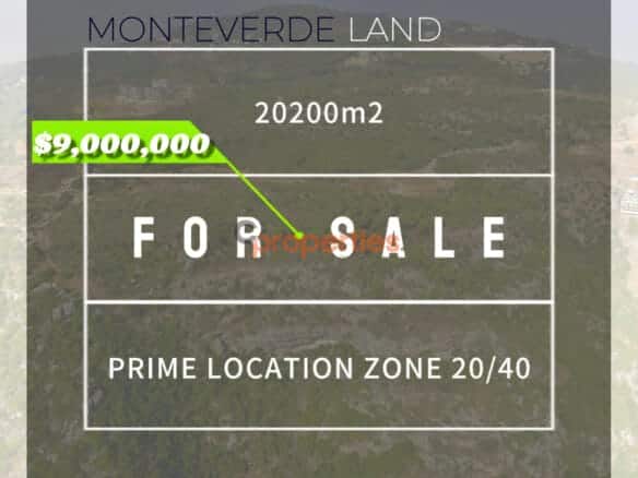 Land for Sale in Monteverde CPEAS35