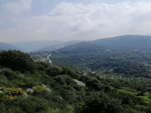 Land for Sale Bejjeh Jbeil Area 1741Sqm