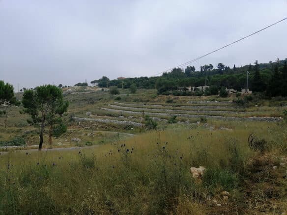 Land for Sale Bentael Jbeil Area 6267Sqm