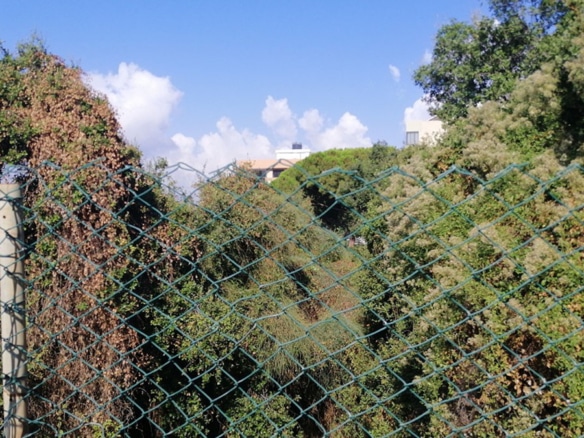 Land for Sale Aamchit Jbeil Area 963Sqm