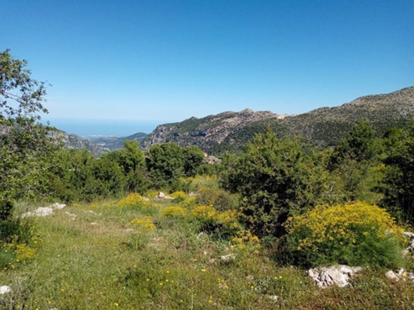 Land for Sale Tannourine El Faouqa Batroun Area 18259Sqm