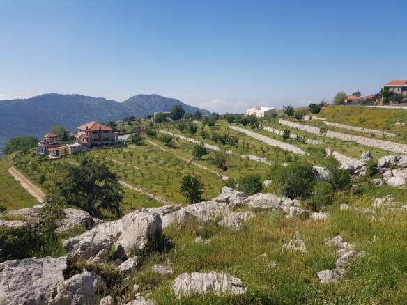 Land for Sale Tannourine El Faouqa ( Laqlouq ) Batroun Area 1756Sqm