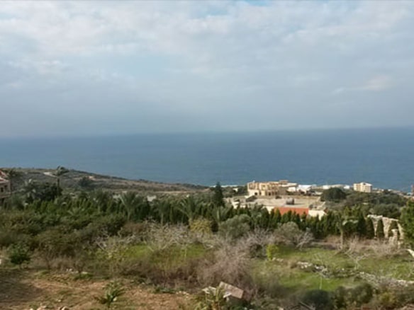 Land for Sale Berbara Jbeil Area 1572Sqm