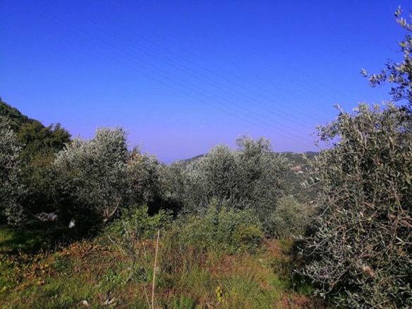 Land for Sale Zebdine Jbeil Area 1030Sqm