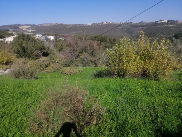 Land for Sale Boqsmayya Batroun Area 2760Sqm