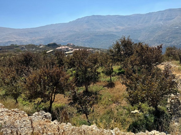 Land for Sale Bsharri Bsharri City Area 892Sqm