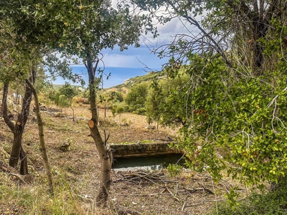 Land for Sale Maad Jbeil Area 5425Sqm