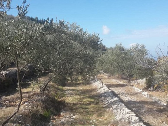 Land for Sale Bejjeh Jbeil Area 4246Sqm