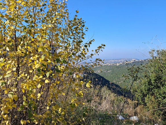 Land for Sale Barij Jbeil Area 970Sqm