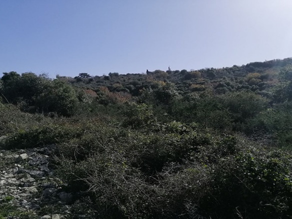 Land for Sale Bejjeh Jbeil Area 3355Sqm