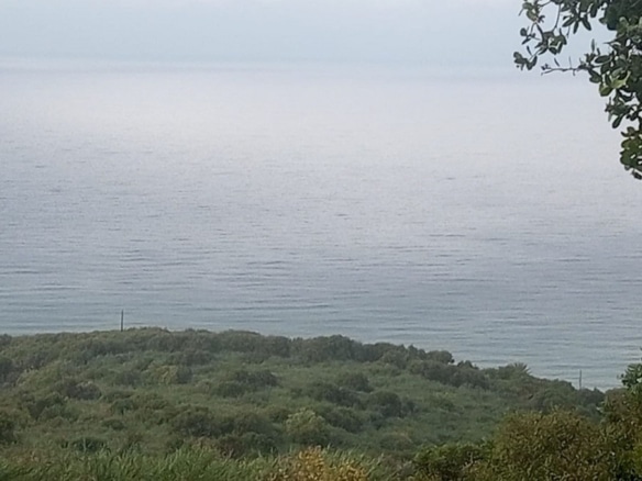 Land for Sale Rachana Batroun Area 921Sqm