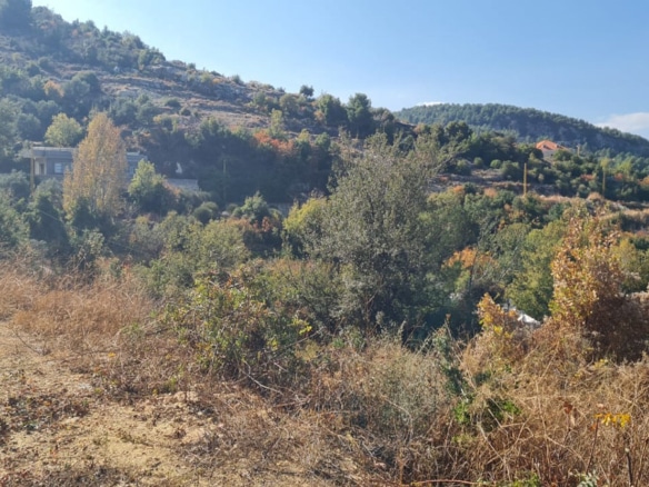 Land for Sale Hardine – Beit Kassab Batroun Area 1600Sqm