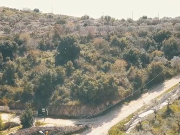 Land for Sale Bejdarfil Batroun Area 3927Sqm