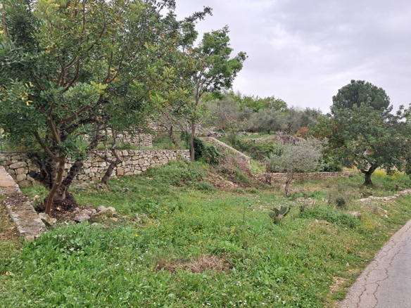 Land for Sale Jrabta Batroun Area 1744Sqm