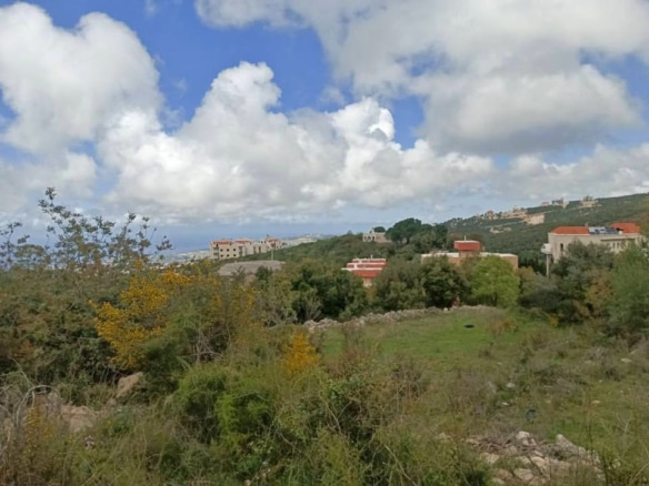 Land for Sale Barij Jbeil Area 1162Sqm