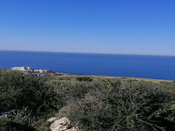 Land for Sale Monsef Jbeil Area 2580Sqm